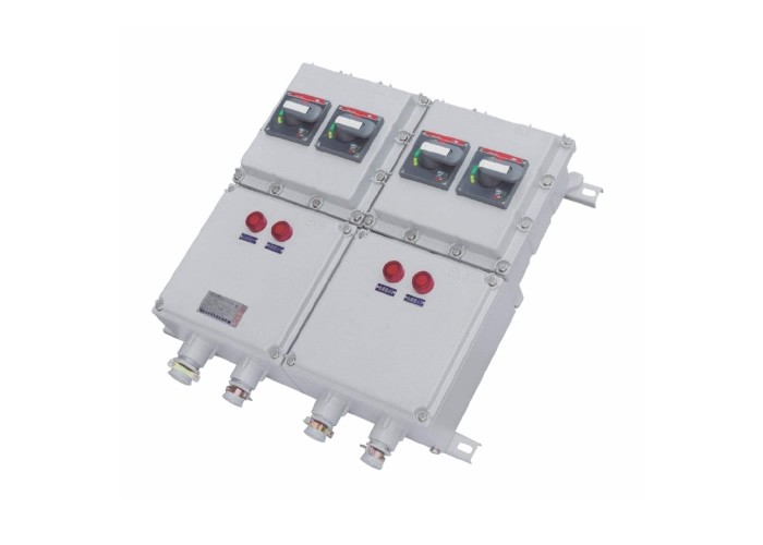 BXX係列防爆(動力檢修)配電箱（xiāng）