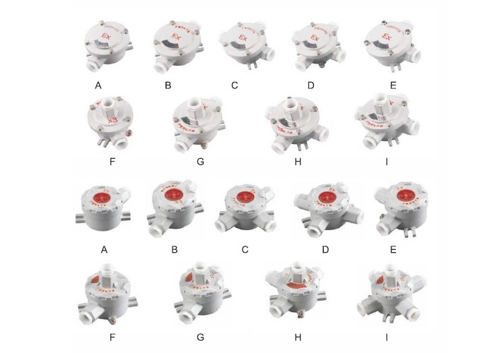 AH係（xì）列防爆接線盒